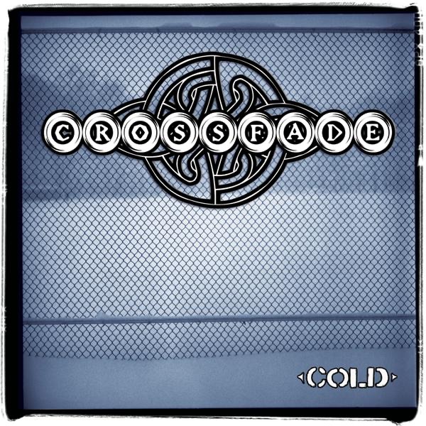 Cold - Single album cover