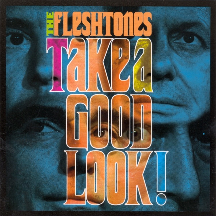 Take a Good Look album cover