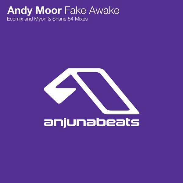 Fake Awake (The Blizzard Remix) - Single album cover