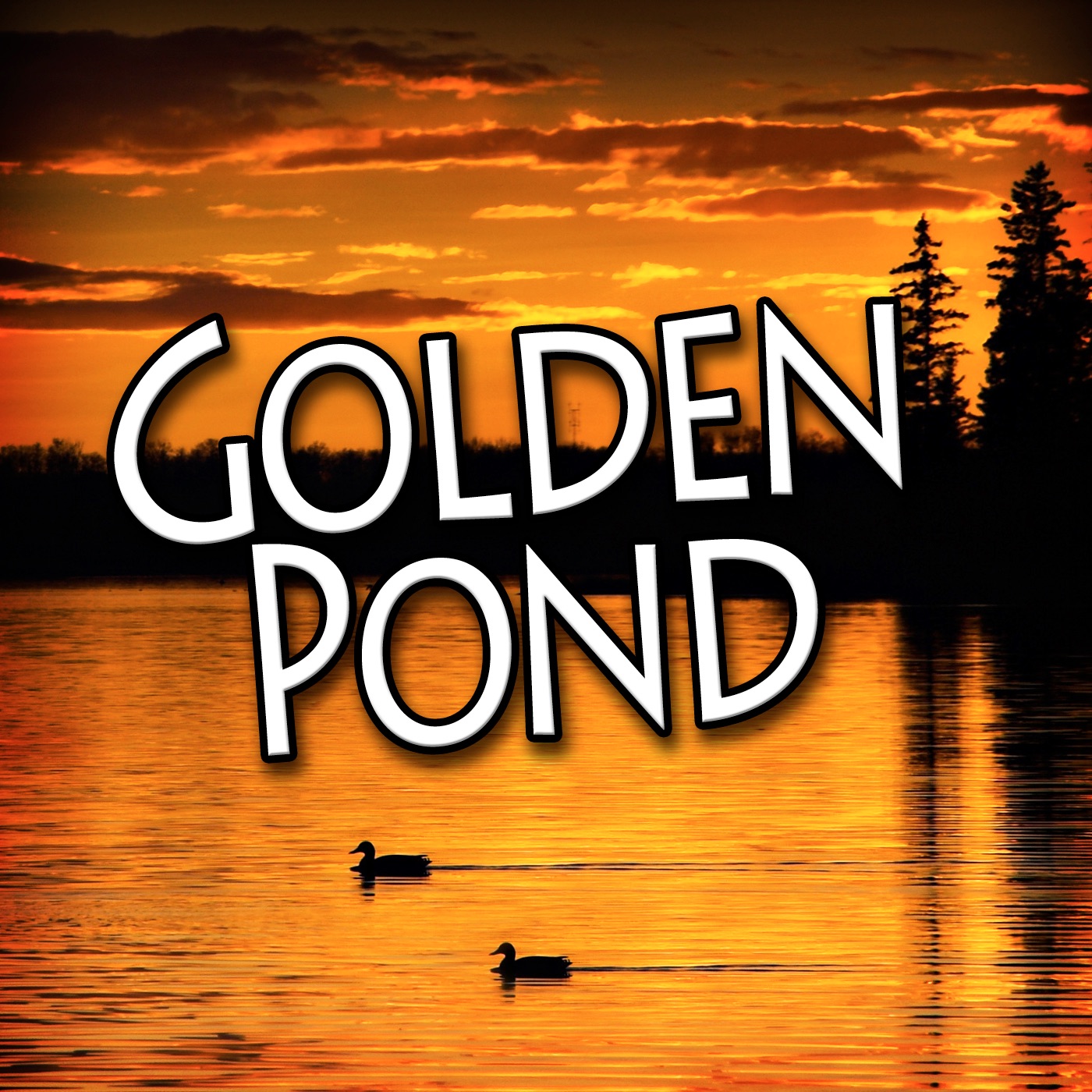 Golden Pond album cover