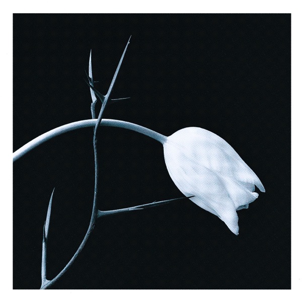 El Tango album cover