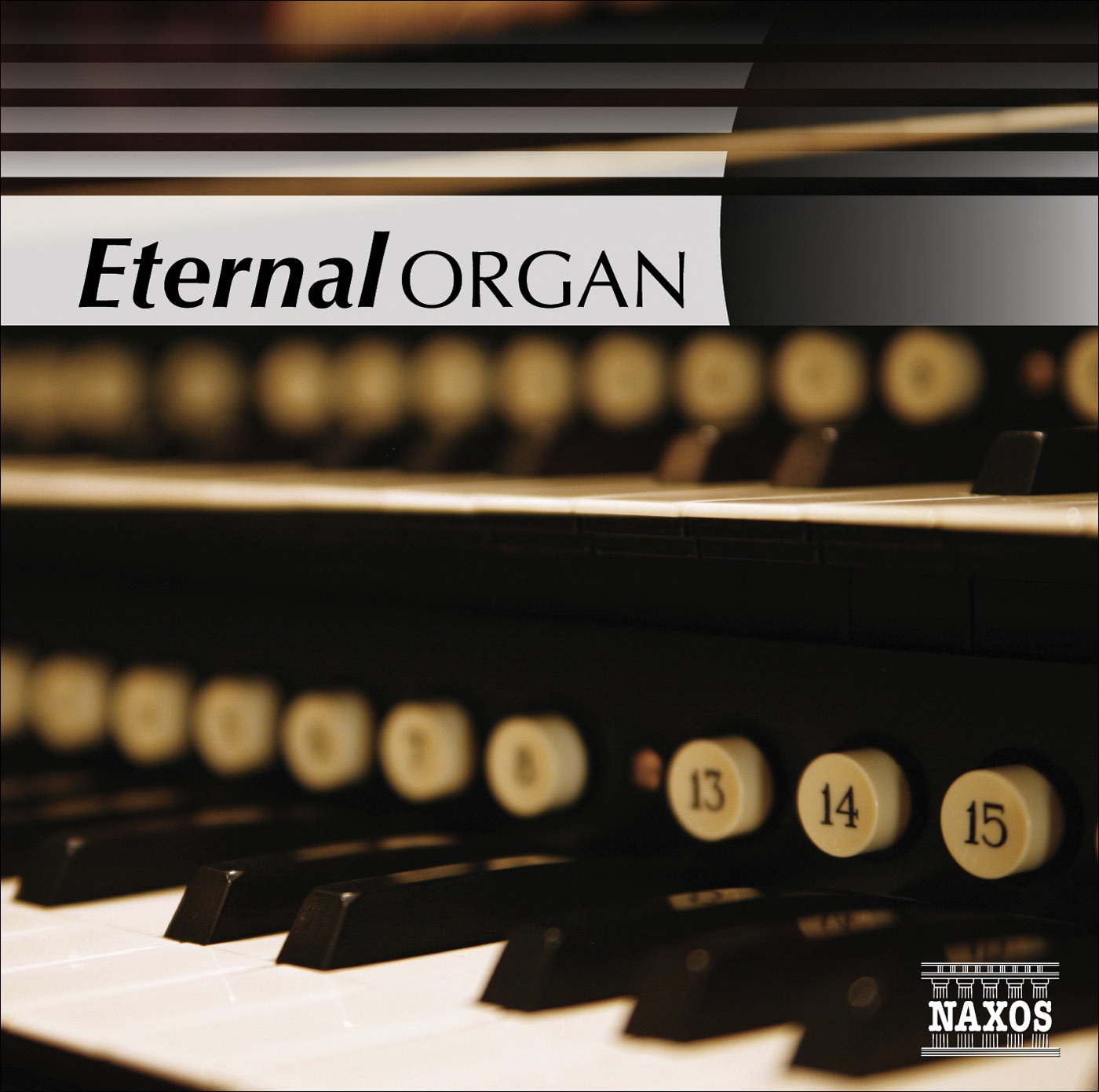 Eternal Organ album cover