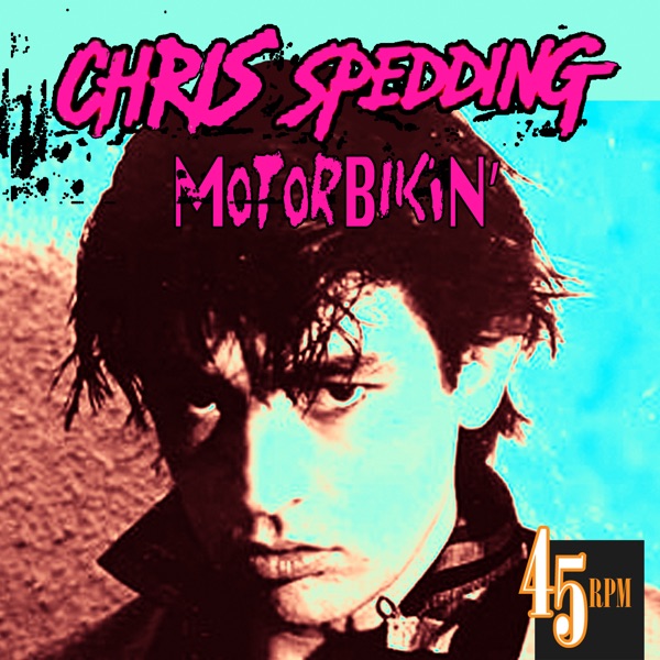 Motorbikin' album cover