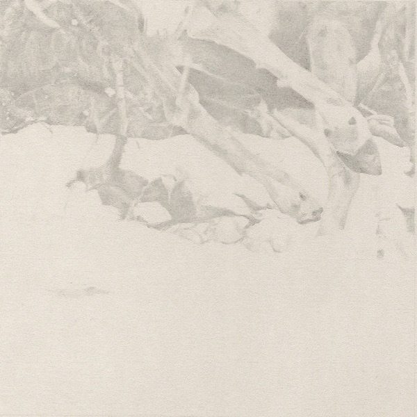 The Coachlight Woods album cover