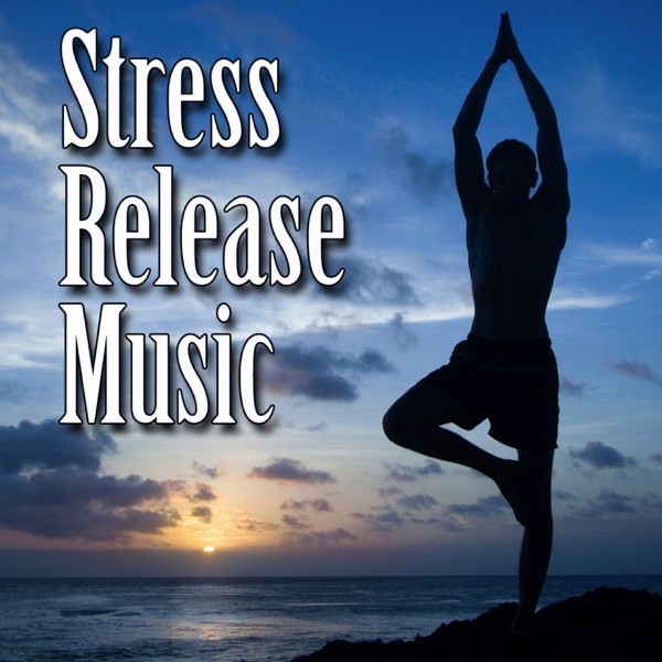 Stress Release Music (Instrumental) album cover