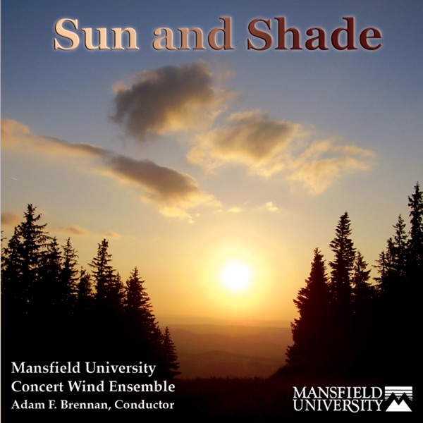 Sun & Shade album cover