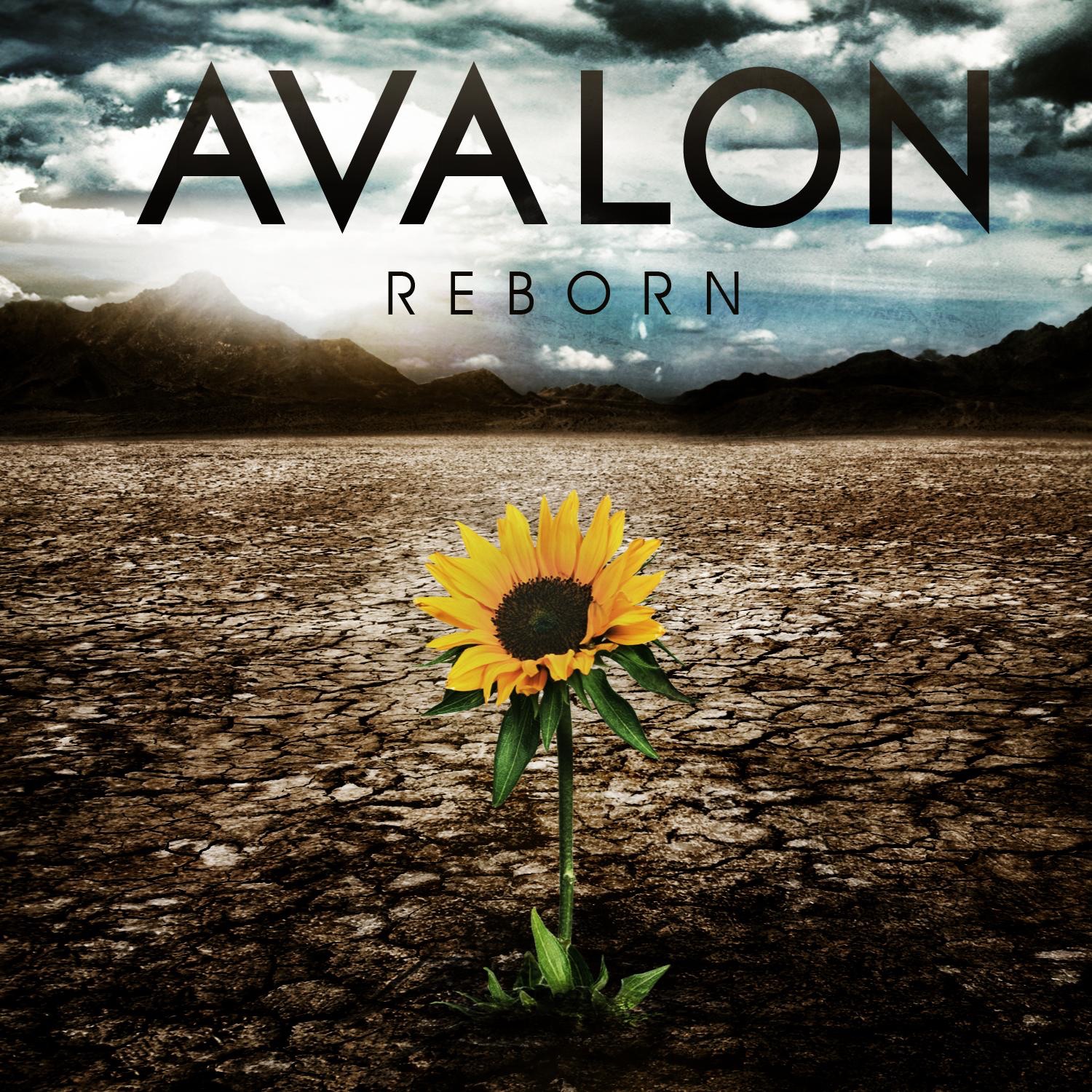 Reborn album cover