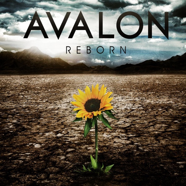 Reborn album cover