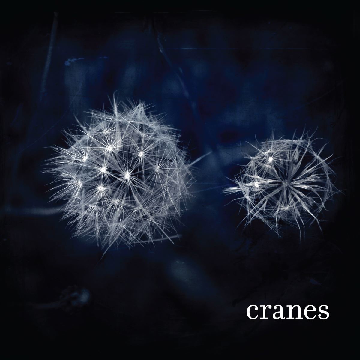 Cranes album cover