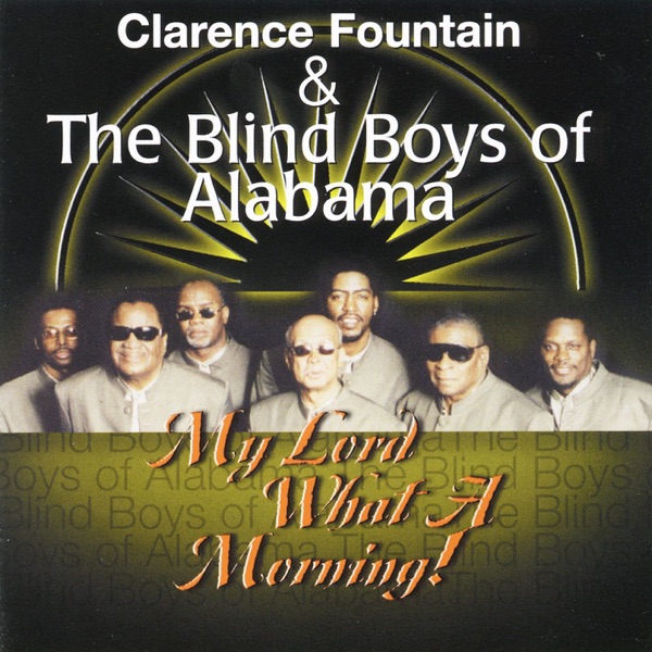 My Lord What a Morning! album cover