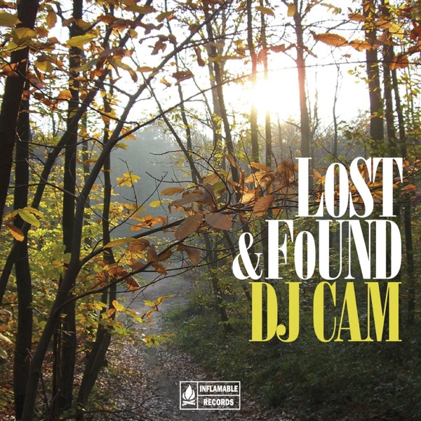 Lost & Found album cover