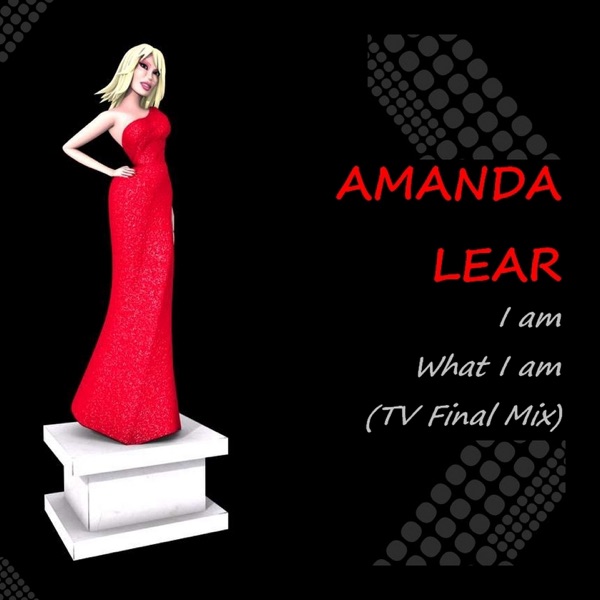 I Am What I Am (TV Final Mix) - Single album cover