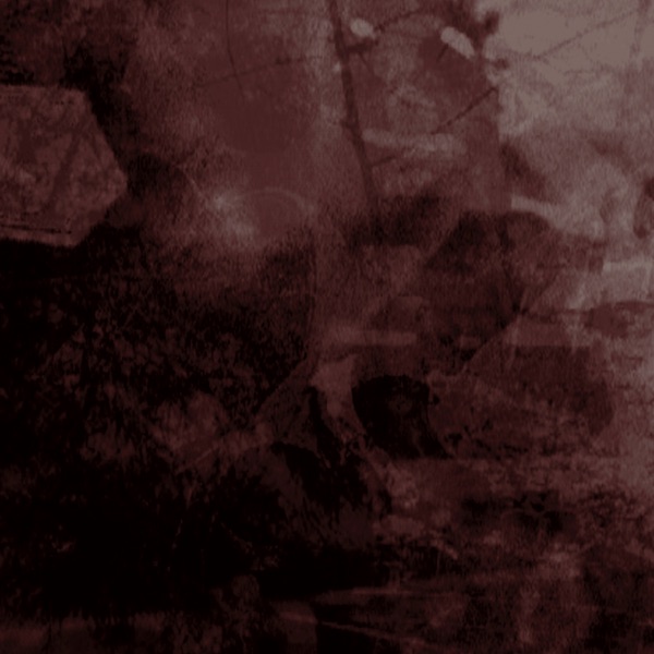 Auditory Illusions album cover