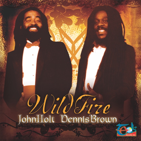 Wild Fire (2009 Reissue) album cover