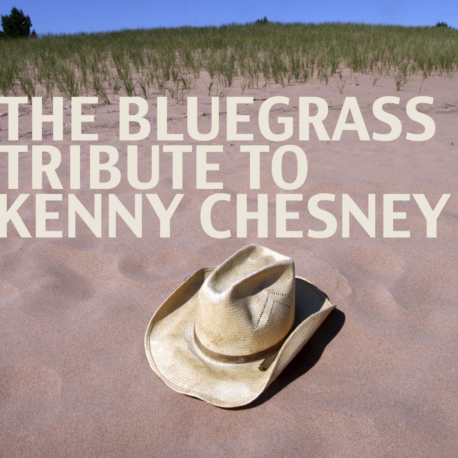 The Bluegrass Tribute to Kenny Chesney album cover