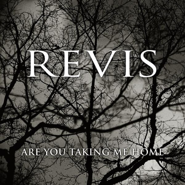 Are You Taking Me Home - Single album cover