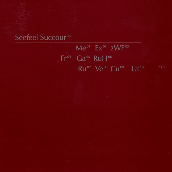 Succour album cover