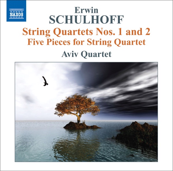 Schulhoff: String Quartets Nos. 1 and 2 - 5 Pieces for String Quartet album cover