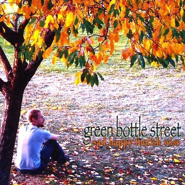 Sad Happy Foolish Wise album cover