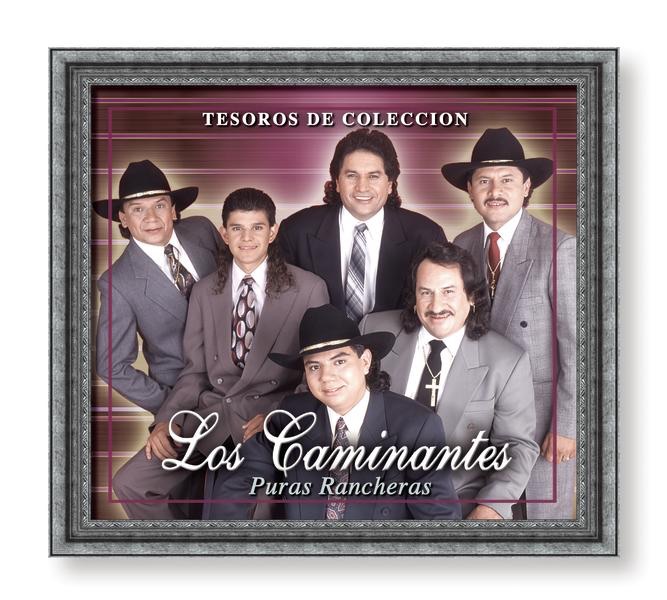 Tesoros de Coleccion: Los Caminantes album cover
