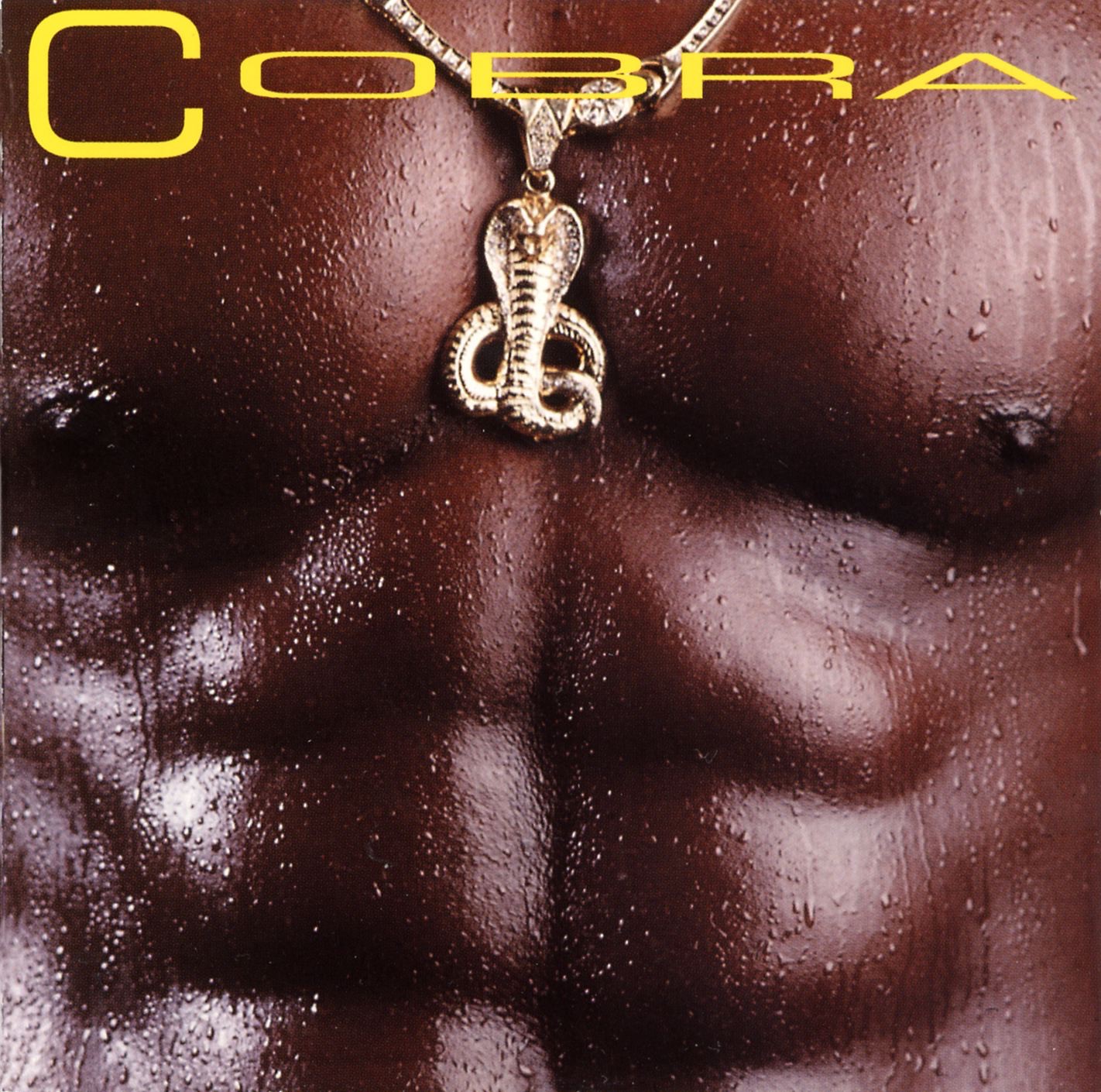 Cobra album cover