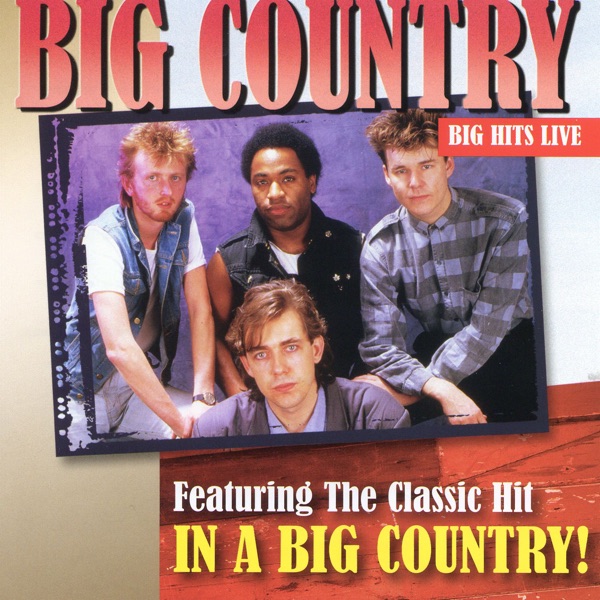 Big Hits Live album cover