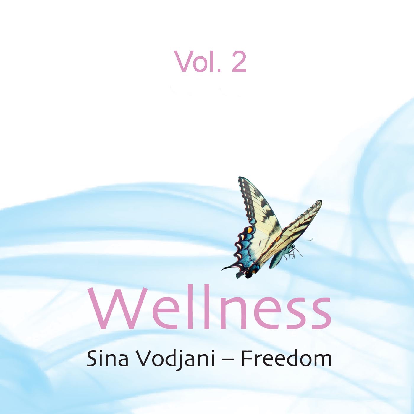 Wellness, Vol. 2 album cover