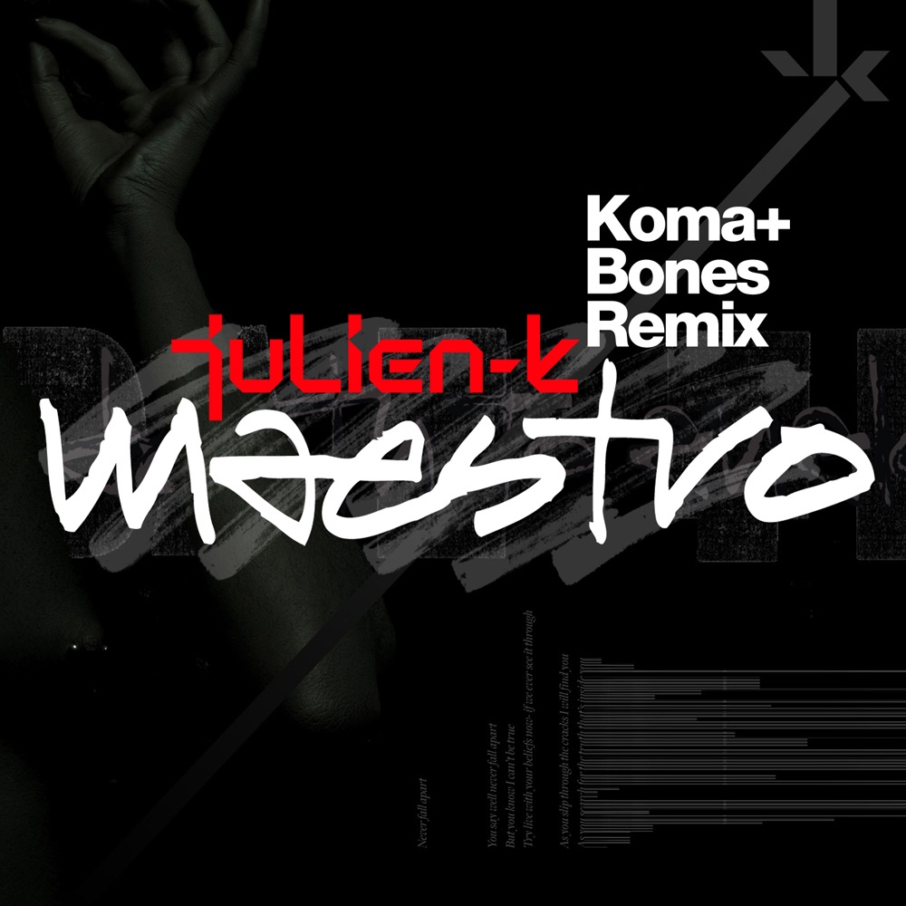 Maestro (Remixes) - Single album cover