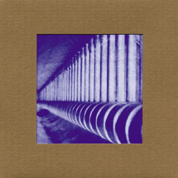 Do Make Say Think album cover