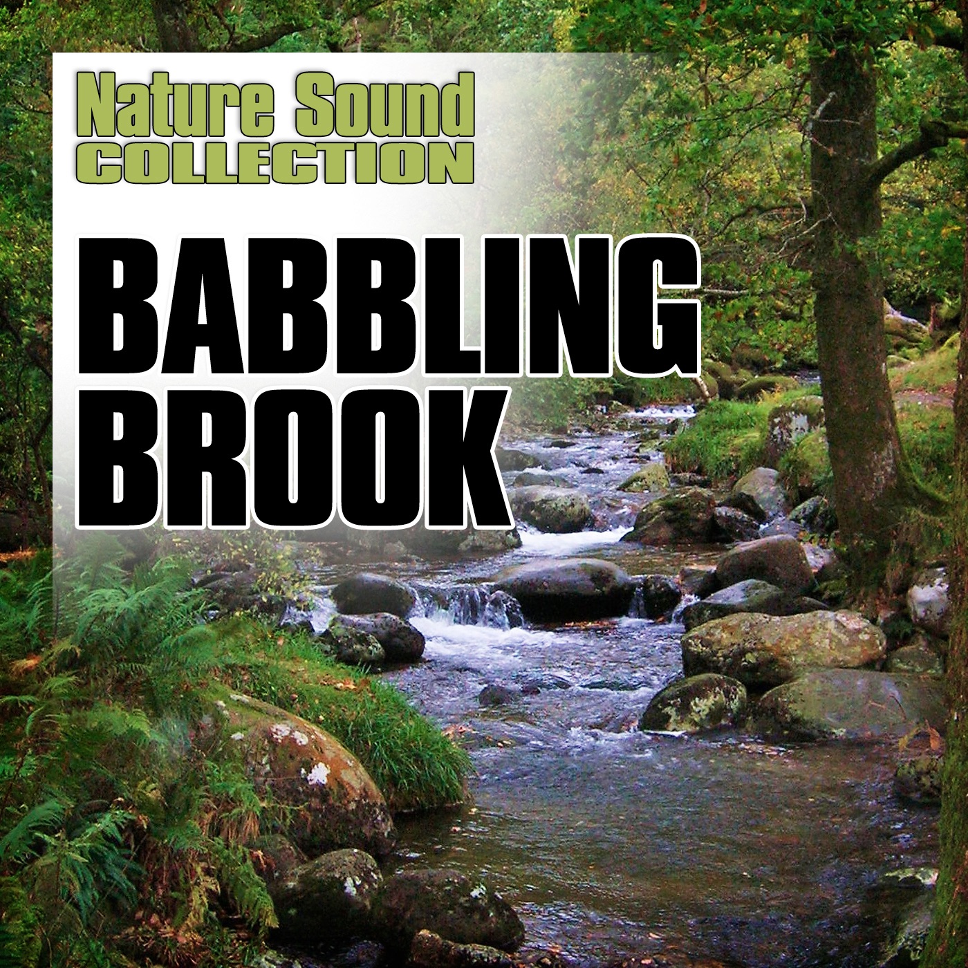Babbling Brook (Nature Sounds) album cover