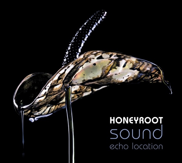 Sound Echo Location album cover