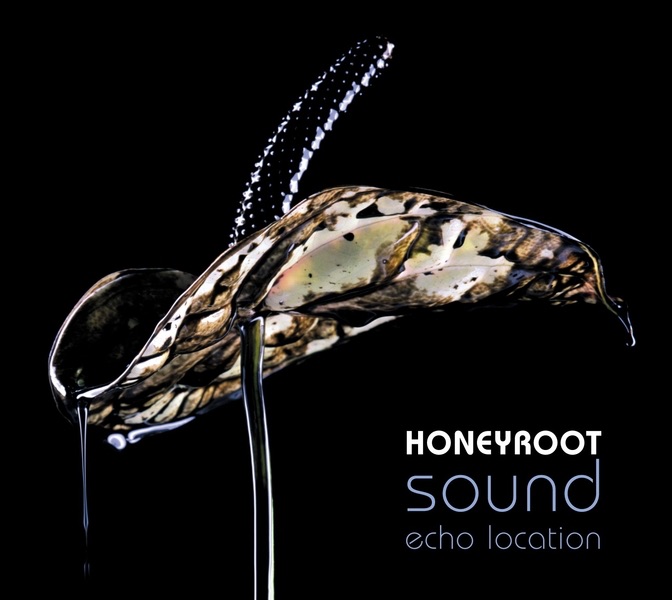 Sound Echo Location album cover