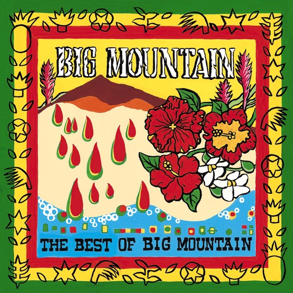 The Best of Big Mountain album cover