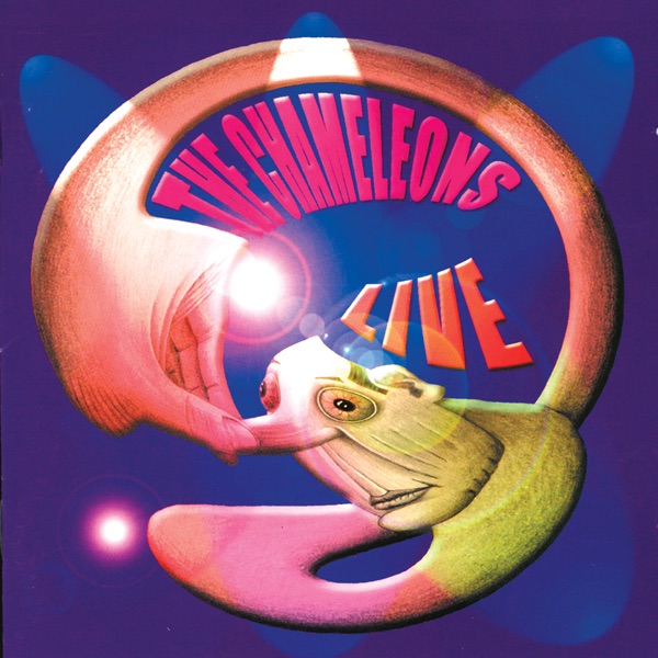 Live At the Academy (Vol. 2) album cover