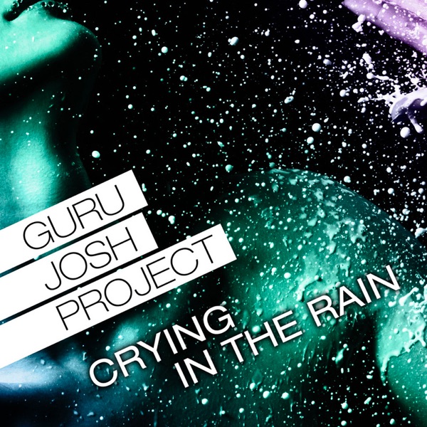 Crying In the Rain (Remixes) - Single album cover