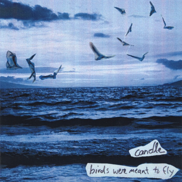 birds Were Meant to Fly album cover
