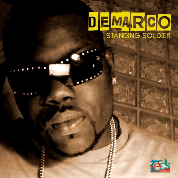 Standing Soldiers album cover