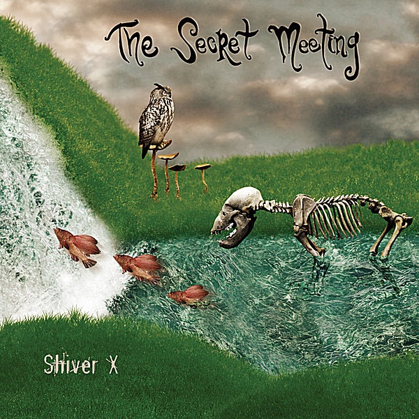 Shiver X album cover