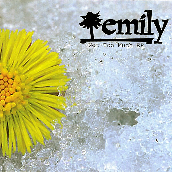 Not too much EP album cover