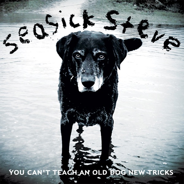 You Can't Teach an Old Dog New Tricks album cover