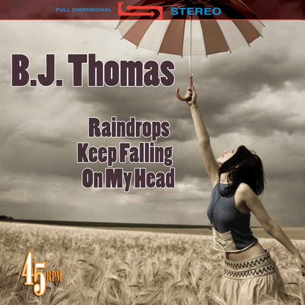 Raindrops Keep Falling On My Head (Re-Recorded Version) - Single album cover