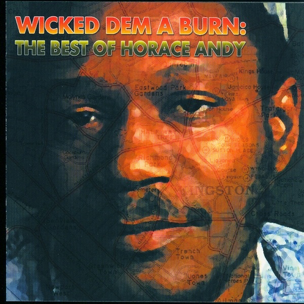 Wicked Dem a Burn album cover