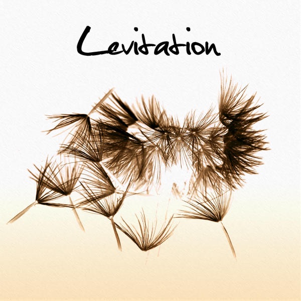 Levitation album cover