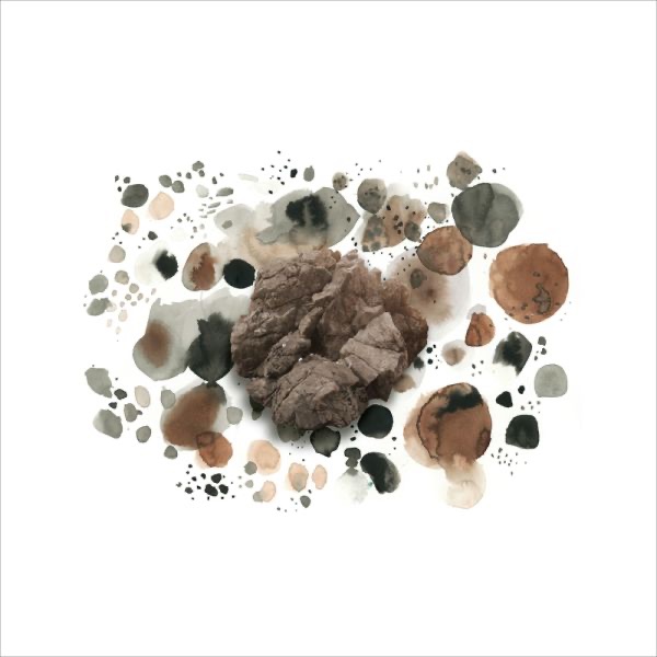 Lotus Plaza/NiceWeekend Split - Single album cover