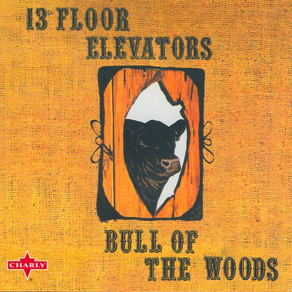 Bull of the Woods album cover