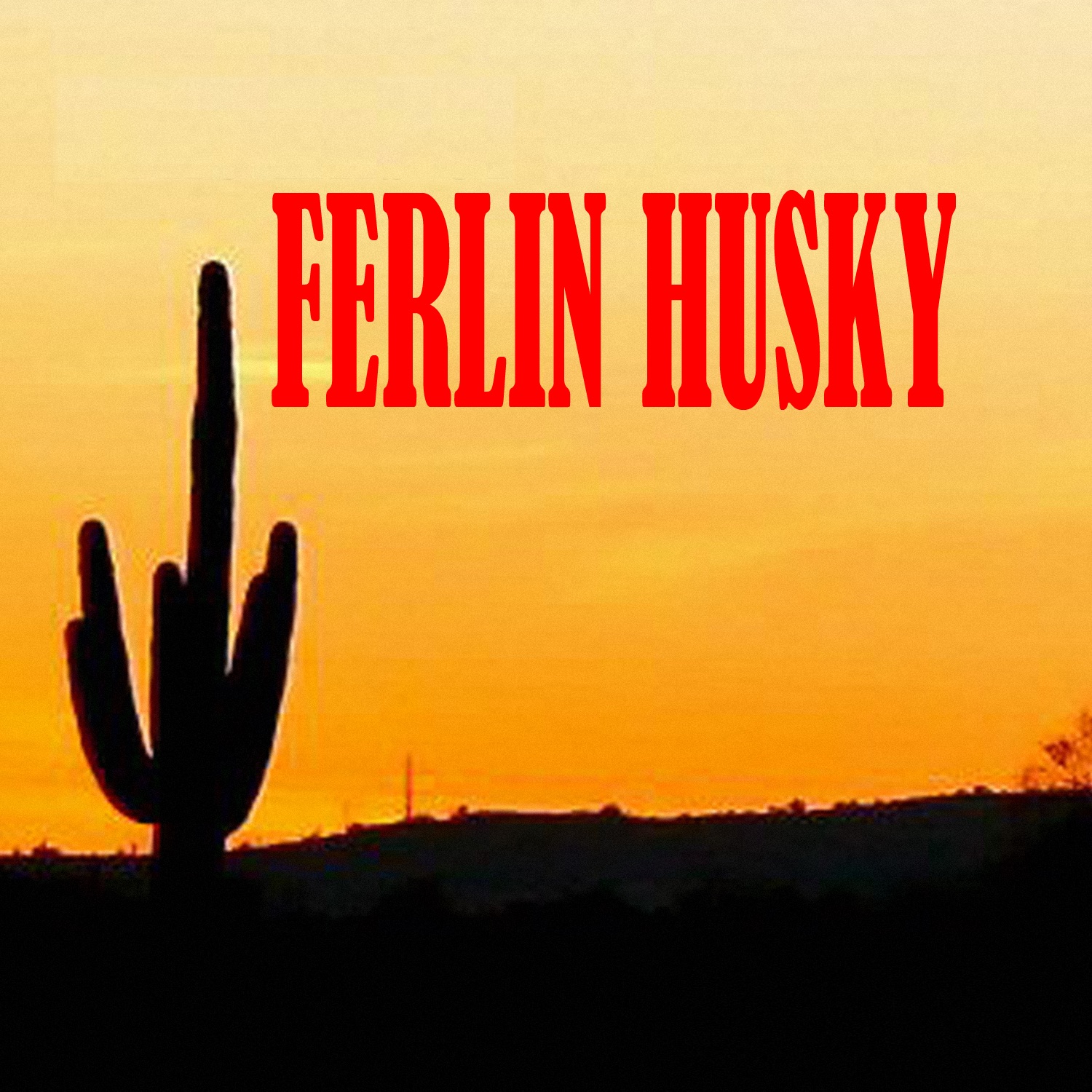 Ferlin Husky album cover