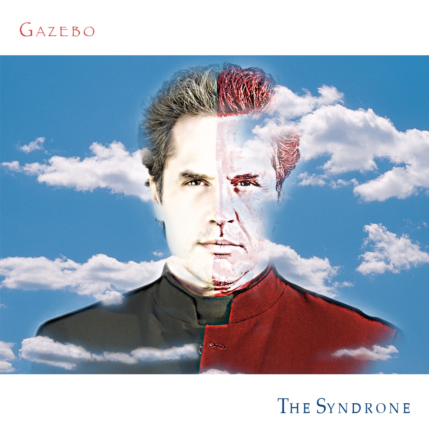 The Syndrone album cover
