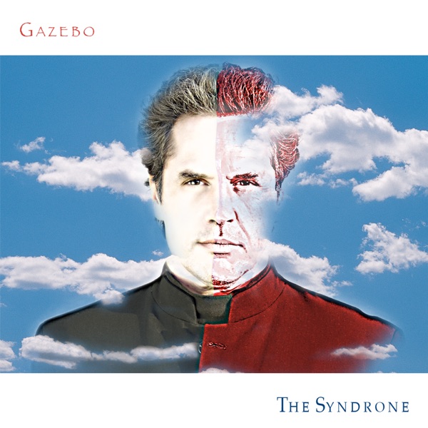 The Syndrone album cover