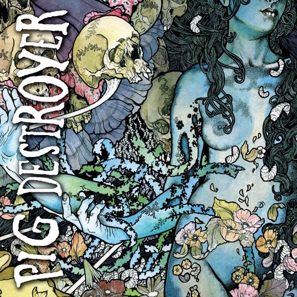 Phantom Limb album cover