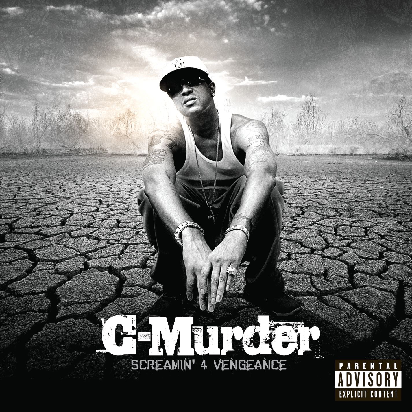 Screamin' 4 Vengeance album cover